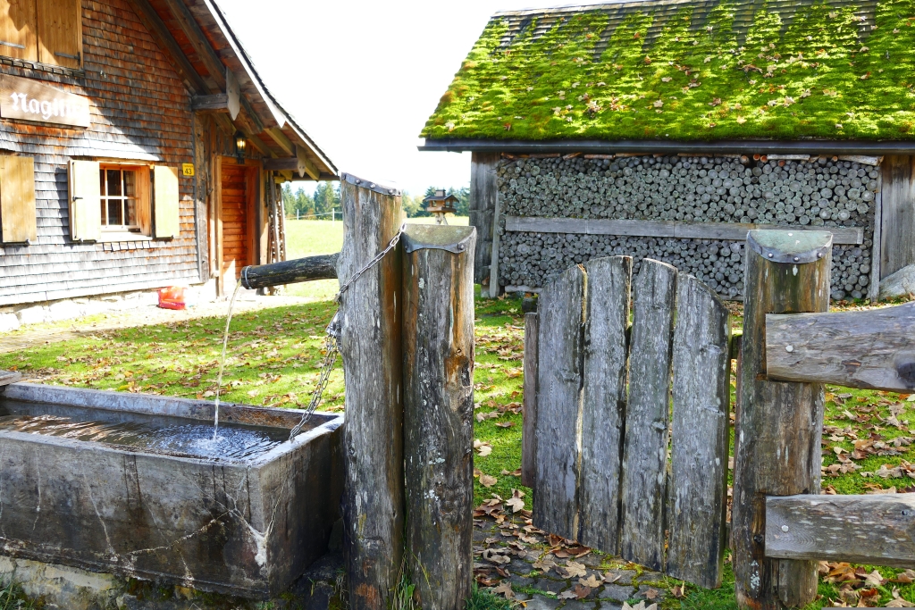 fountain-509898.jpg