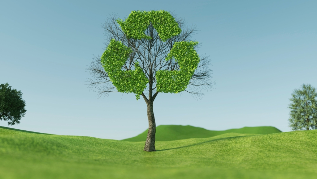 roadlight-tree-5591461.jpg